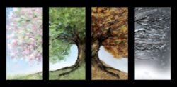 Seasons Props